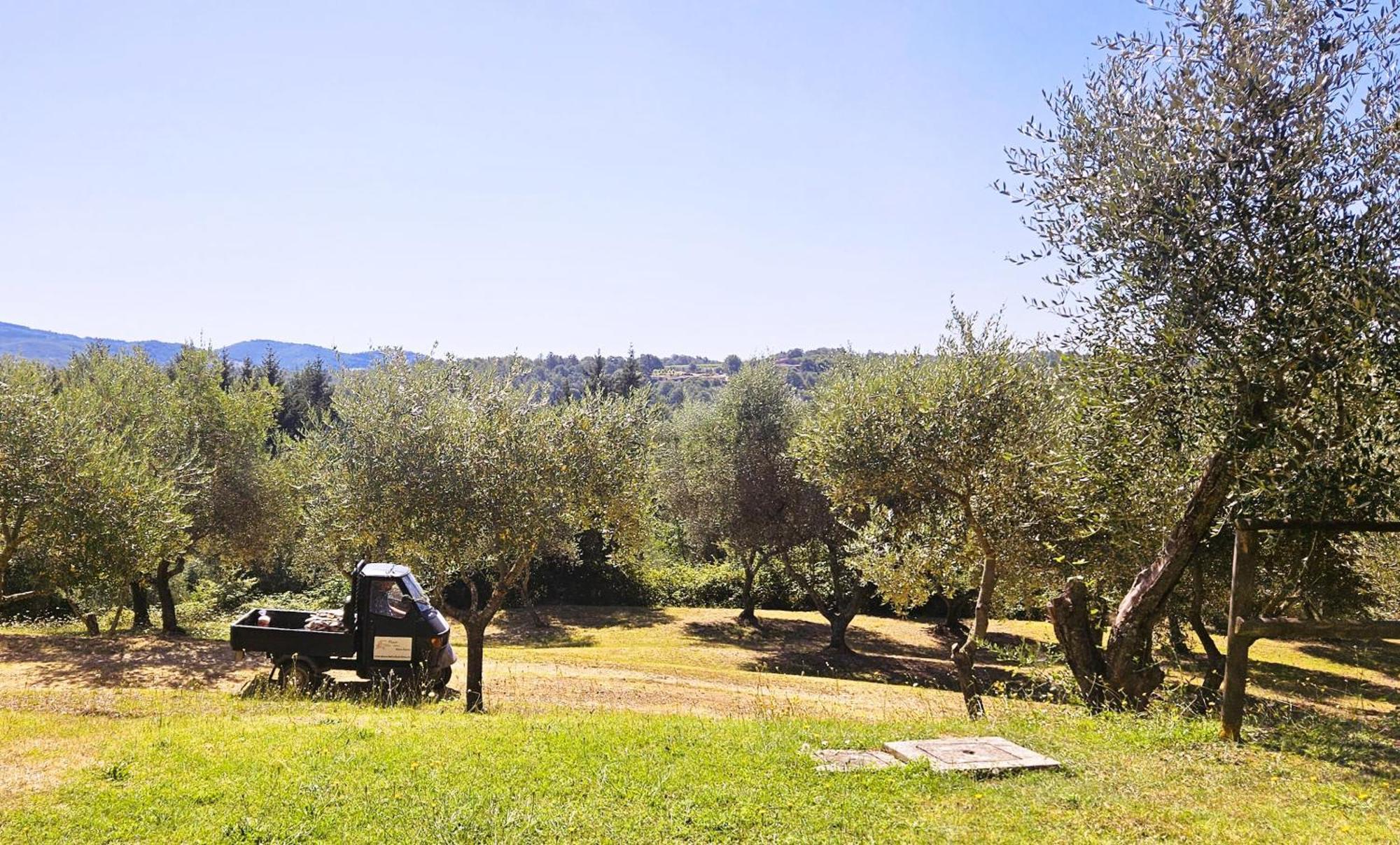 Apartamento Pian Della Bandina Città della Pieve Exterior foto